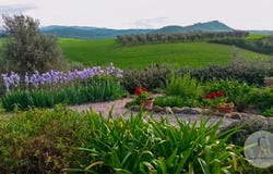 Castel del Piano, Tuscany 58033
