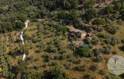 Montalcino, Tuscany 53024