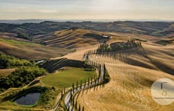 Basques, Umbria 05023