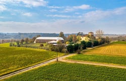 Masio, The Piedmont 15024