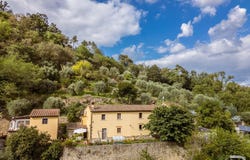 Lamporecchio, Lamporecchio, Tuscany 51035
