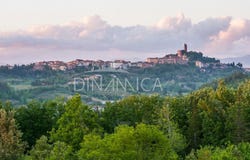San Miniato, Tuscany 56024