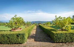 Pontassieve, Tuscany 50065