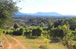 Lucca, Tuscany 55100