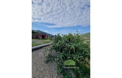 Calci, Tuscany 56011