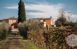 Montepulciano, Tuscany 53045