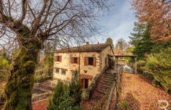 Rufina, Rufina, Tuscany 50068