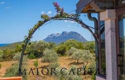 Olbia, Sardinia 07026