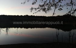 Rapolano Terme, Tuscany 53040