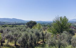 Basques, Umbria 05020