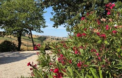 Orciano di Pesaro, Marche 61038