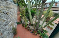 Sanremo, Liguria 18038