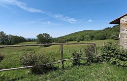 Pontassieve, Tuscany 50065