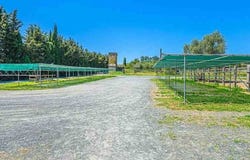 Rosignano Marittimo, Tuscany 57016