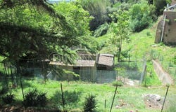 Fauglia, Tuscany 56043
