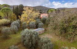 Collesalvetti, Tuscany 57014
