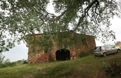 Trequanda, Tuscany 53020