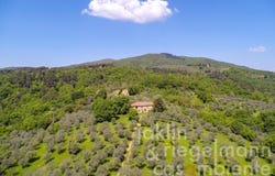 Figline Valdarno, Tuscany 50063
