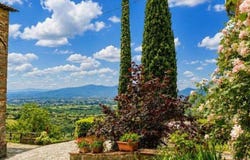 Capannori, Tuscany 55018