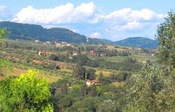 Lucca, Tuscany 55100