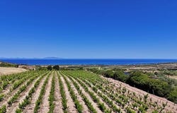 Sorso, Tàttari/Sassari