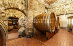 Montalcino, Tuscany 53024