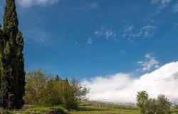 Panzano, Tuscany 50022