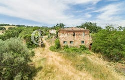 Torrita di Siena, Tuscany 53049