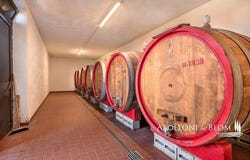Montepulciano, Toscana|Tuscany 53045