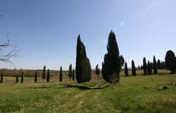 Lucignano, Tuscany 52046