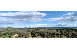 Palaia, Tuscany 56036