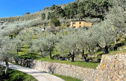 Calci, Tuscany 56011