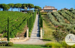 Massa Marittima, Tuscany 58024