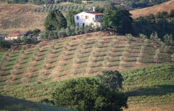 Campagnatico, Tuscany 58042