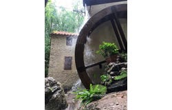 Camaiore, Tuscany 55041