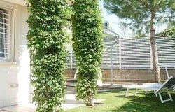 Madonna degli Angeli, Emilia Romagna 48015