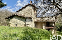 Castel San Niccolò, Tuscany 52018