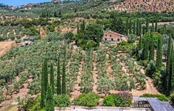 Campagnatico, Tuscany 58042