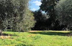 Capalbio, Tuscany 58011