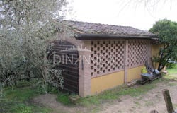 Palaia, Tuscany 56036