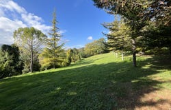 Cantiano, Marche 61044