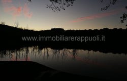 Rapolano Terme, Tuscany 53040