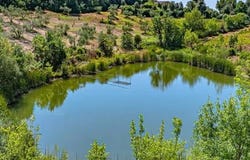 Campagnatico, Tuscany 58042