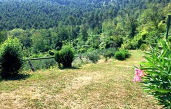 Buti, Buti, Tuscany 56032
