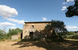 Torrita di Siena, Tuscany 53049