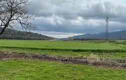Scarlino, Tuscany 58020
