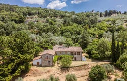 Pian di Sco, Tuscany 52026