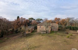 Lucignano, Tuscany 52046