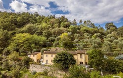 Lamporecchio, Tuscany 51035