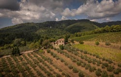 Gaiole in Chianti, Tuscany 53013